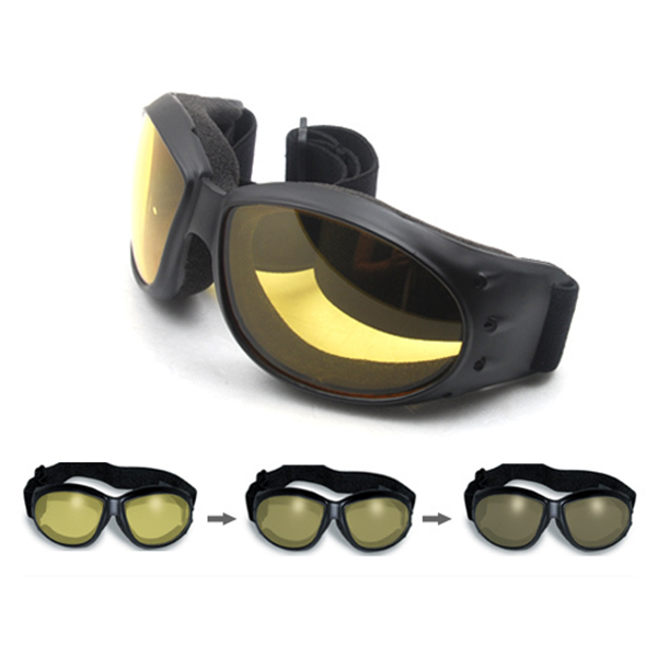 Daisy on the Ohoopee